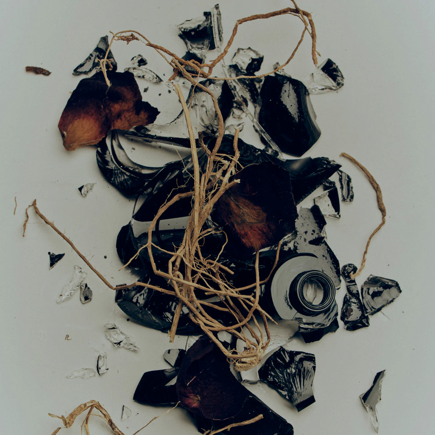 Eau de Extrait - Fer De Lance - Image 4